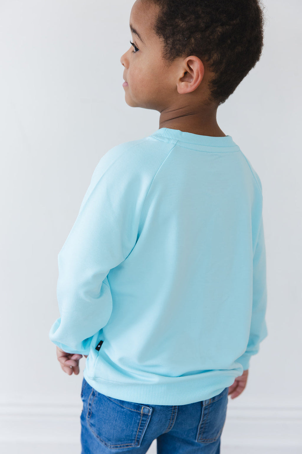 (SOLID) Magical Mashup - Bamboo Terry Sweatshirt Boys Girls