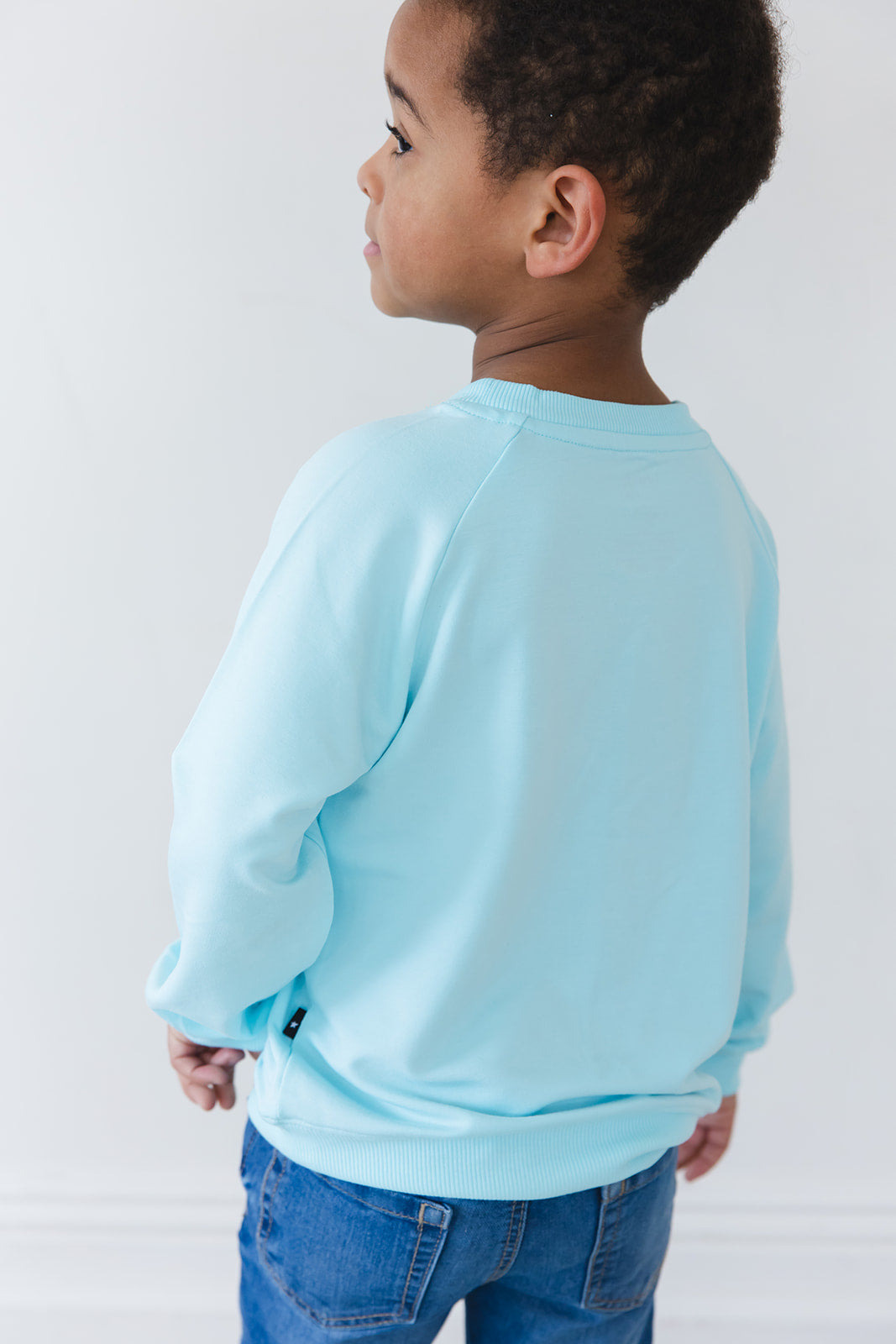 (SOLID) Magical Mashup - Bamboo Terry Sweatshirt Boys Girls